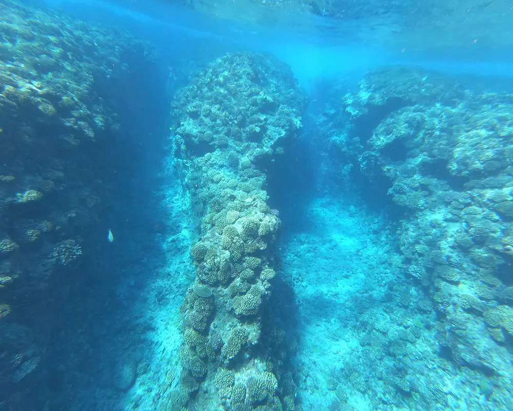 Bora Bora Haapiti récif snorkeling site