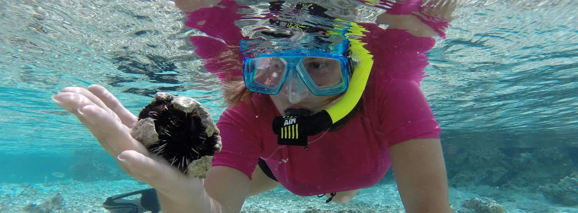 Snorkeling Eco Tours à Bora Bora avec Tohora