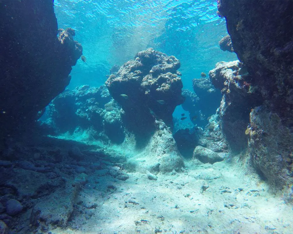 Bora Bora plongée snorkeling site Haapiti