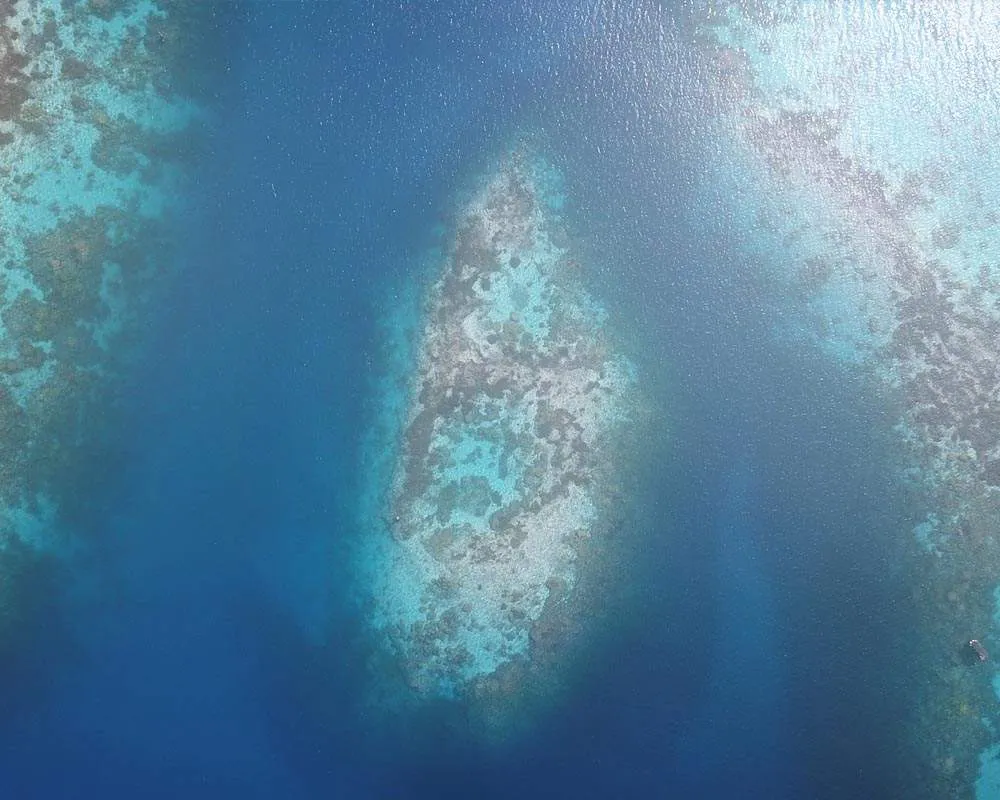 Bora Bora plongée snorkeling site raies manta