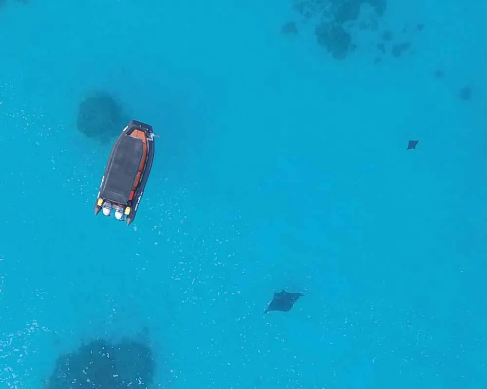 Bora Bora snorkeling plongée site Toopua Nui