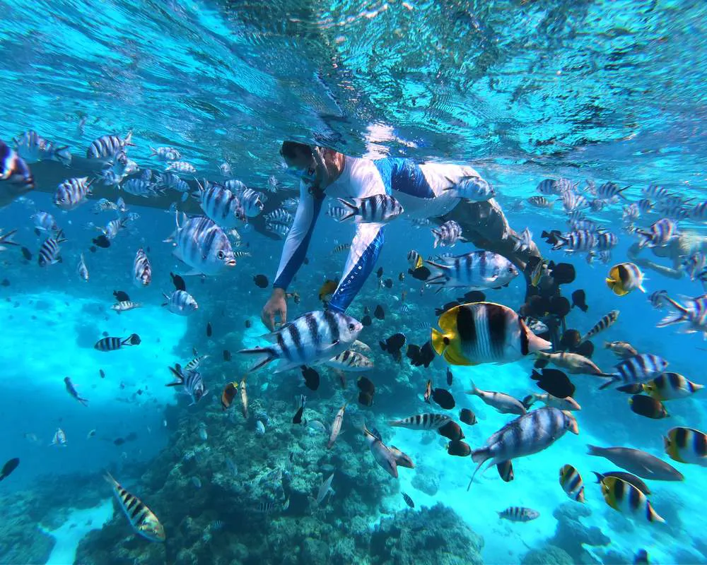 Corail snorkeling plongeur poisson Bora Bora