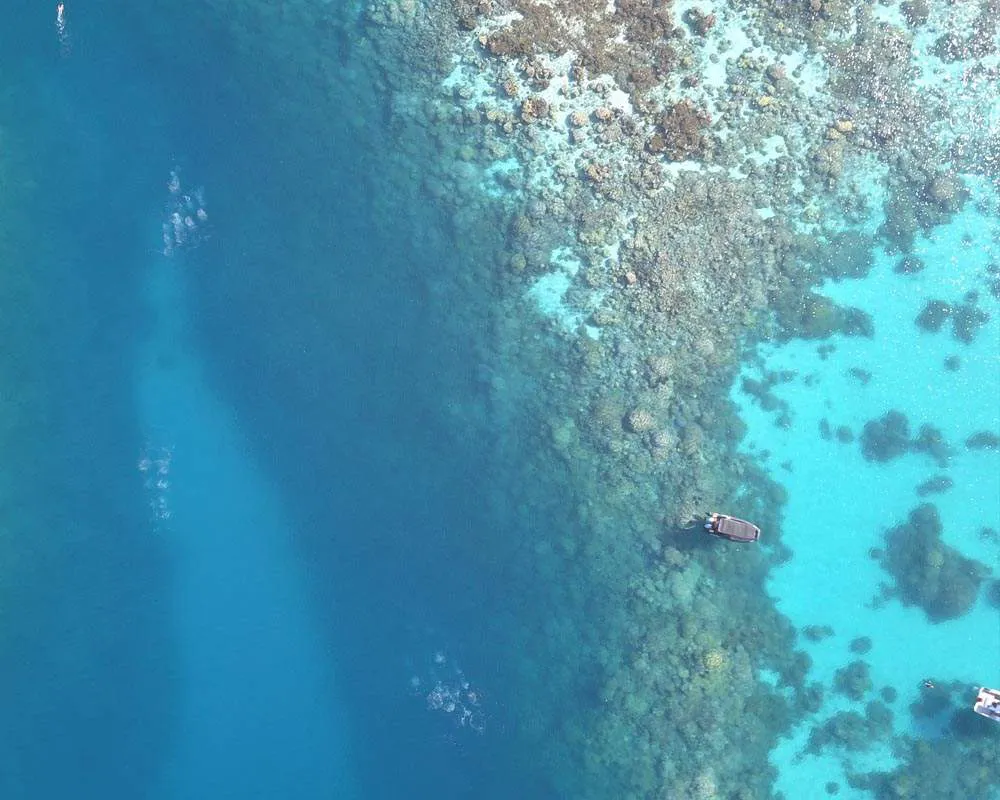 Snorkeling plongée site Bora Bora raies manta