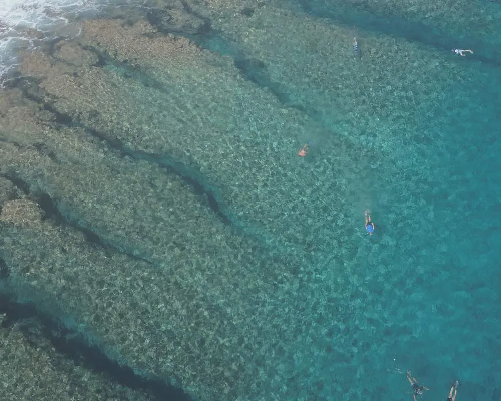 Snorkeling site Bora Bora Haapiti récif