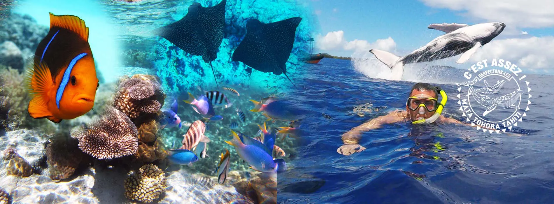 Vue panoramique du lagon de Bora Bora avec ses eaux turquoise et ses motus
