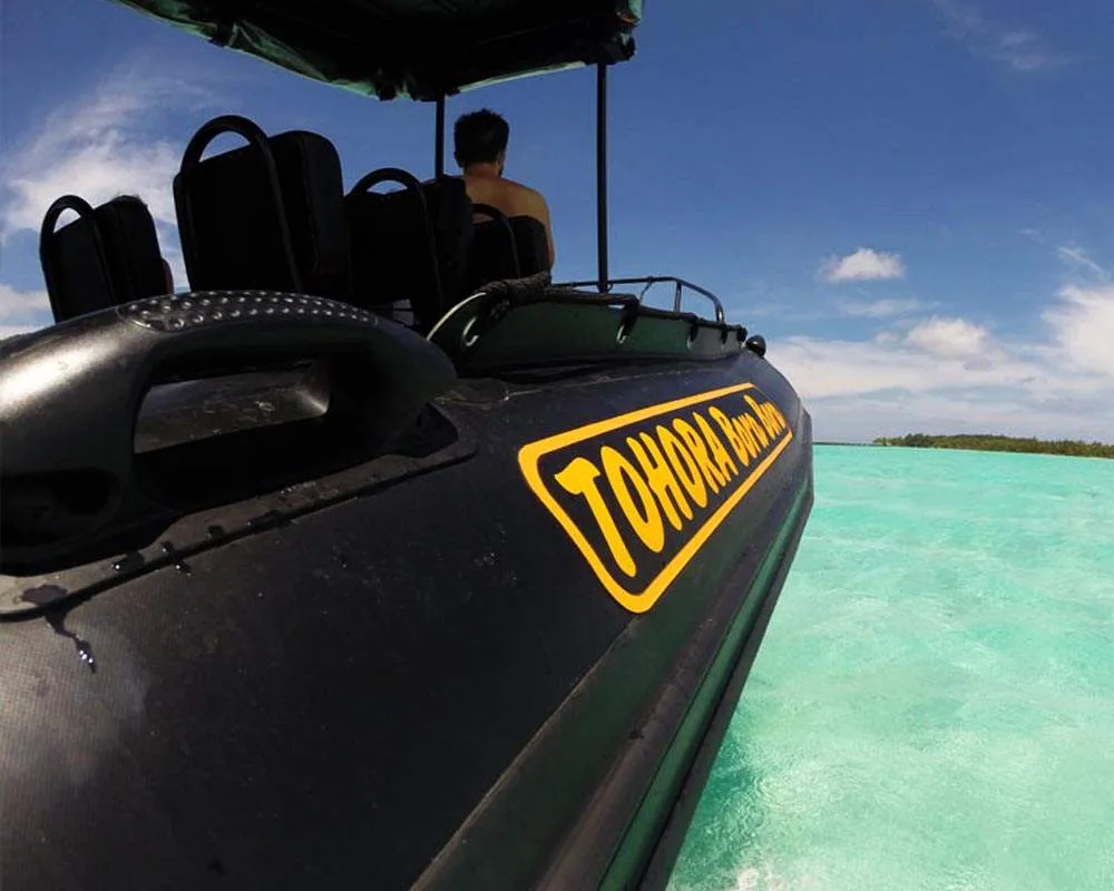 Excursion en bateau Tohora