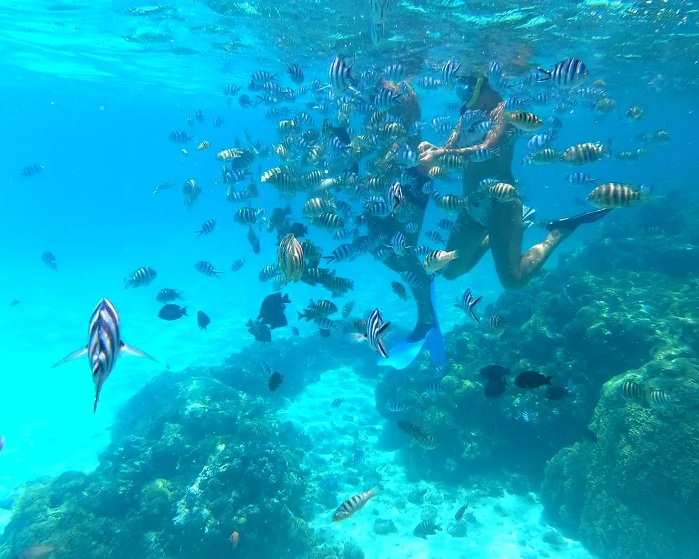 Bora Bora Aquarium snorkeling site