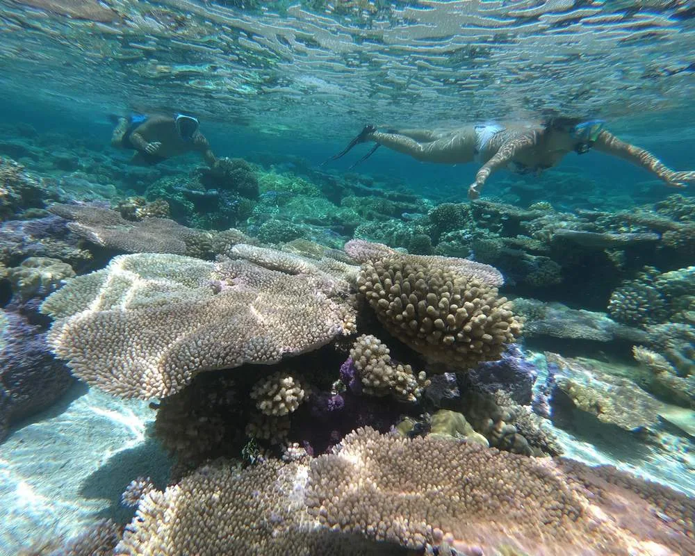 Bora Bora coral barrier snorkeling site