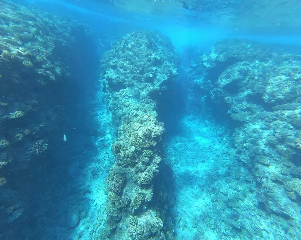 Bora Bora Haapiti reef snorkeling site