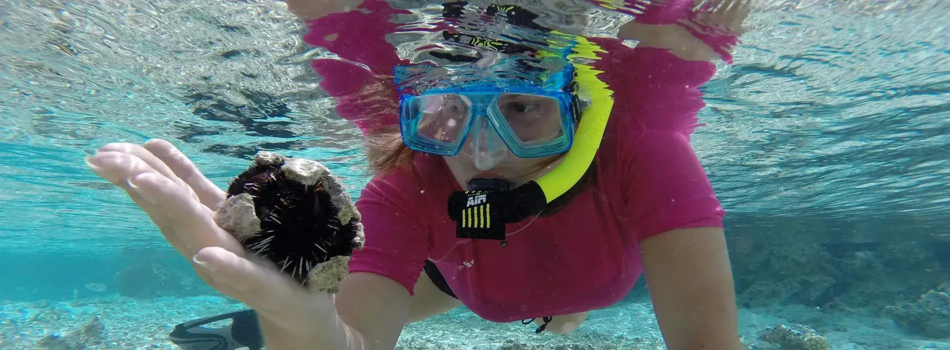 Bora Bora snorkeling lagoon tours with Tohora