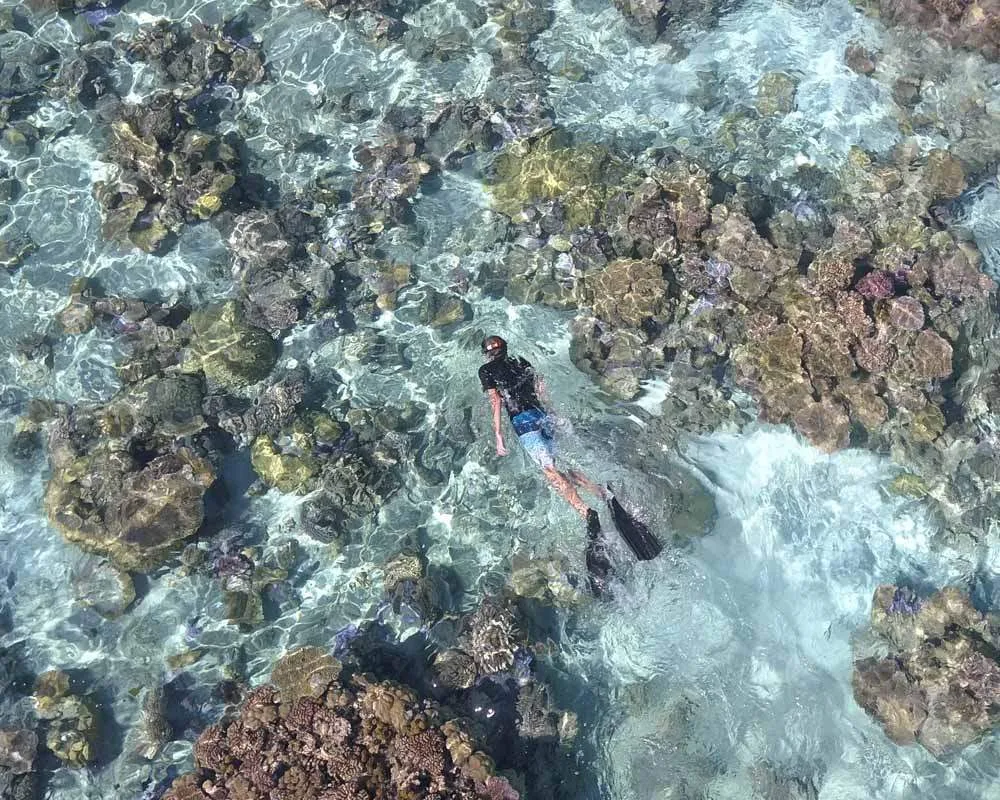 Bora Bora snorkeling site coral barrier