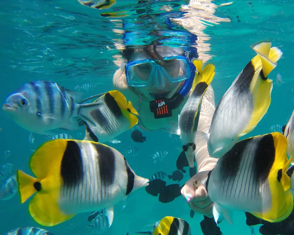 Bora Bora snorkeling site dive Toopua Iti
