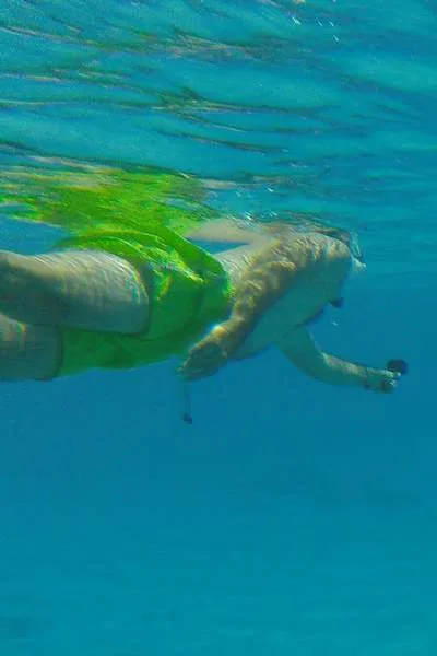 Bora Bora Tohora snorkeling