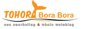 Tohora Bora Bora Logo