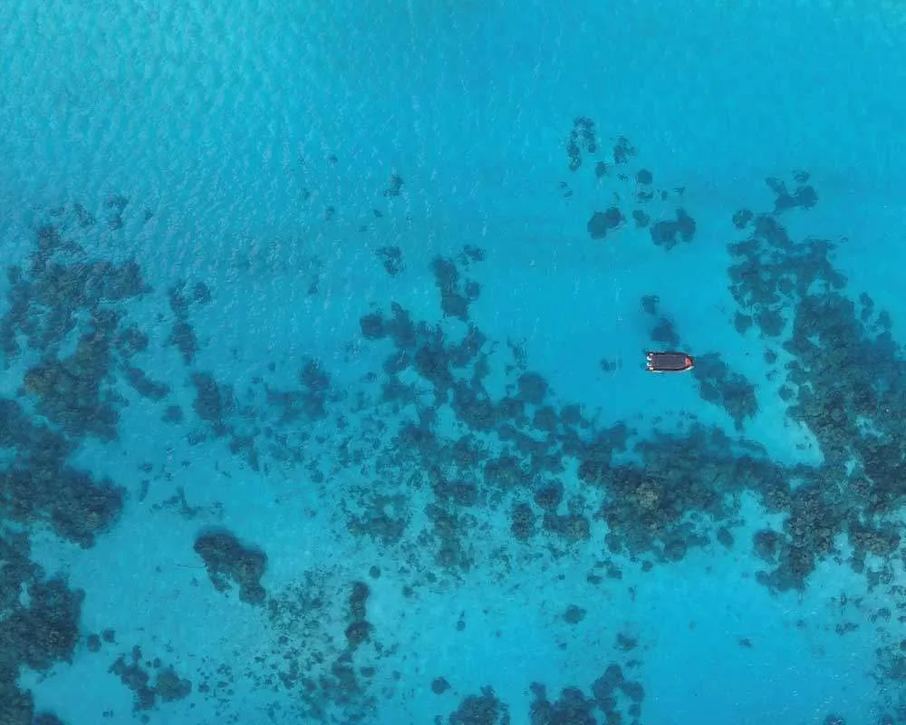 Snorkeling Bora Bora site Toopua Iti