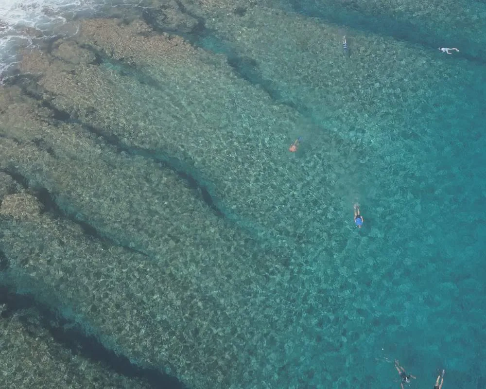 Snorkeling site Bora Bora Haapiti reef