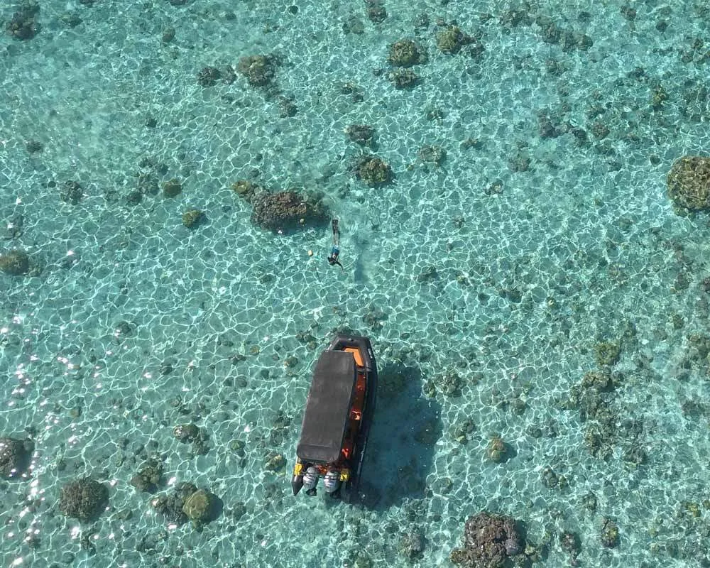 Snorkeling site coral barrier Bora Bora