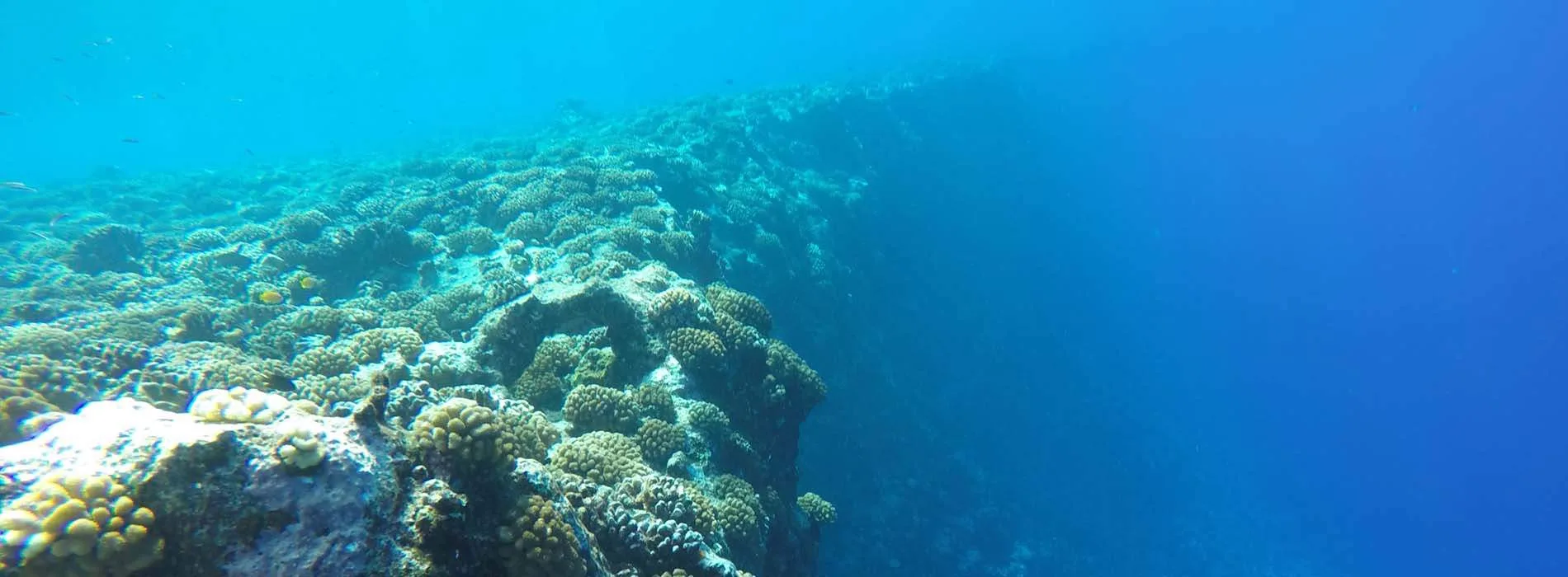 Bora Bora snorkeling map Motu Tapu site