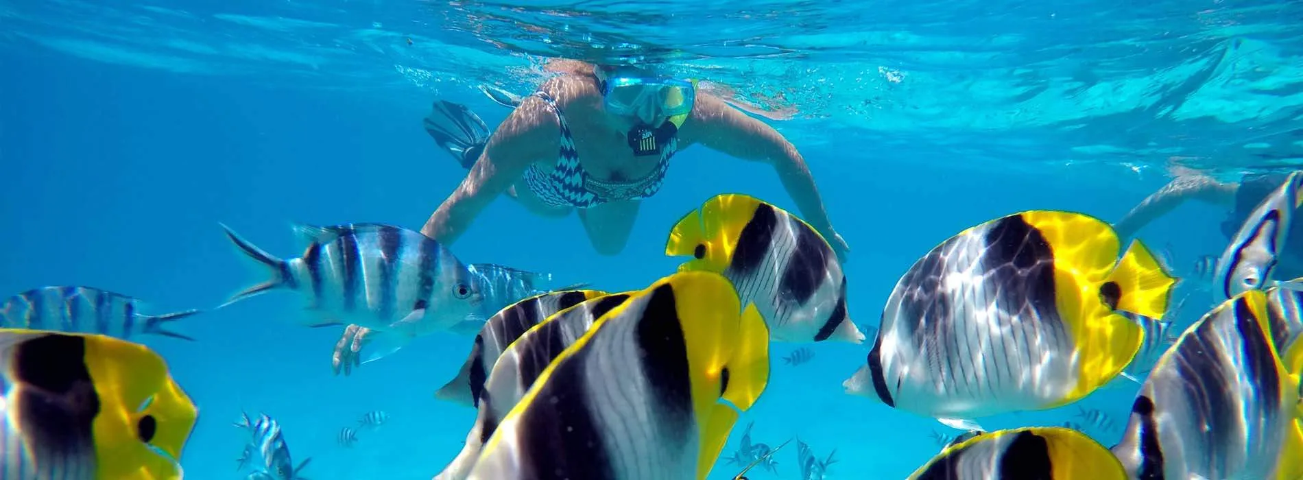 Bora Bora snorkeling map Toopua Iti site